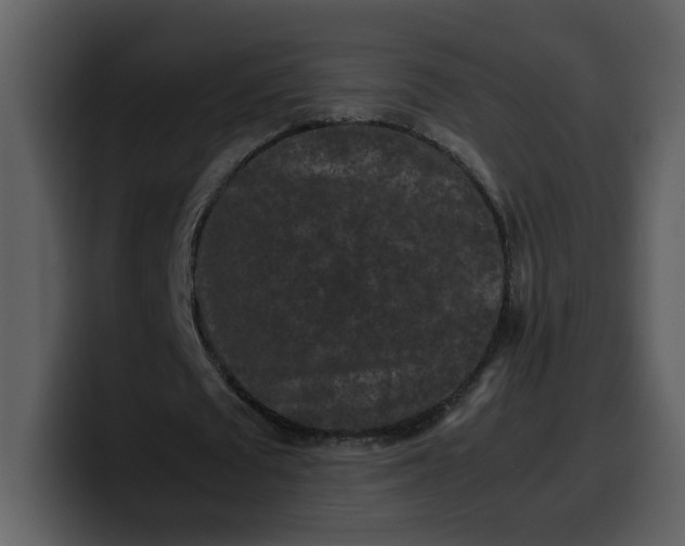 X0000100340673200806191025