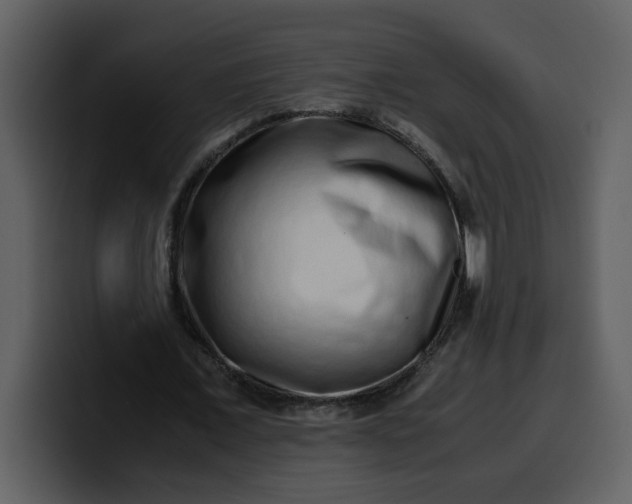 X0000100340675200806191025