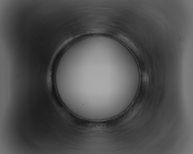 X0000100340676200806191025