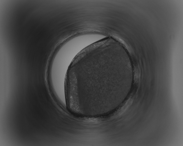 X0000100340677200806191025