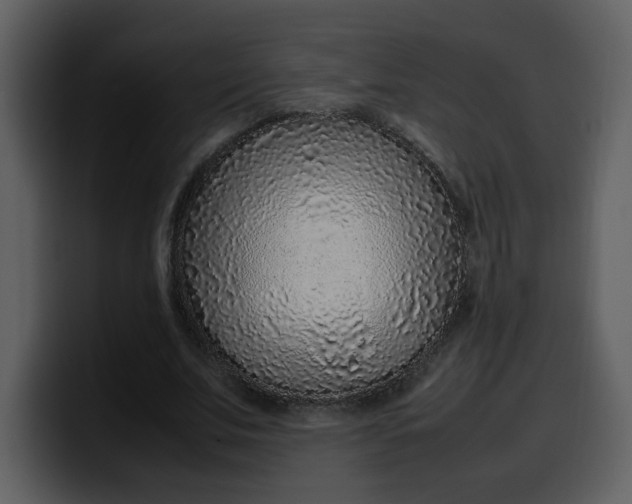 X0000100340679200806191025