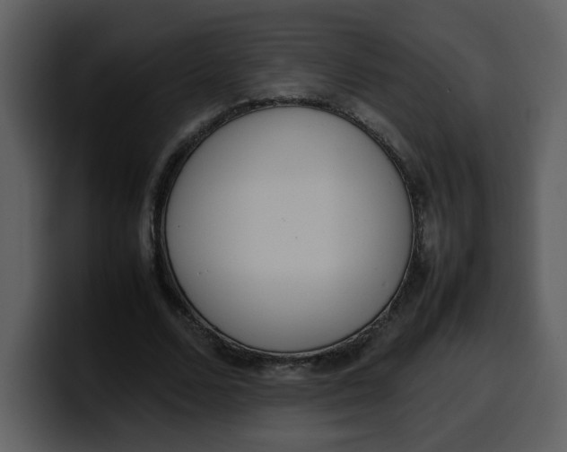 X0000100340680200806191025