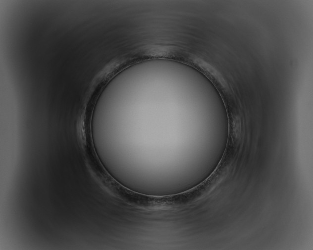 X0000100340682200806191025