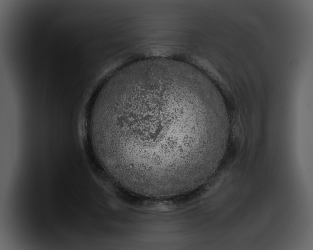 X0000100340683200806191025