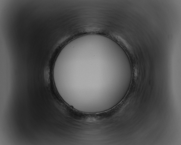 X0000100340684200806191025