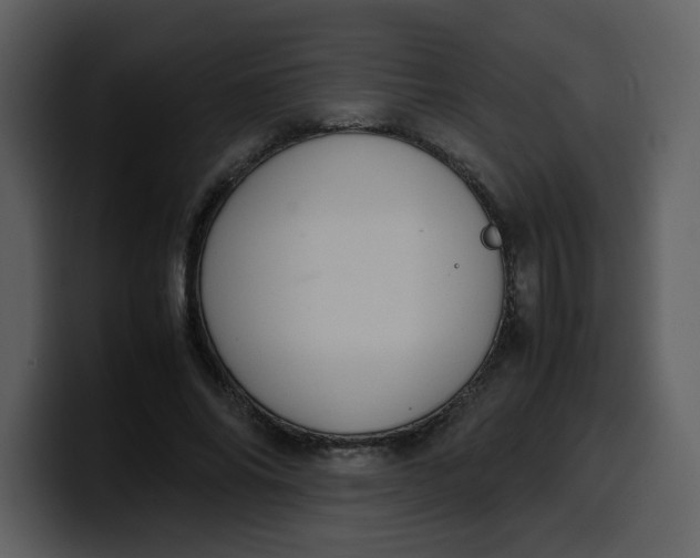 X0000100340686200806191025