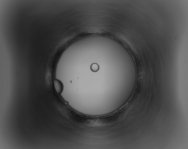 X0000100340688200806191025