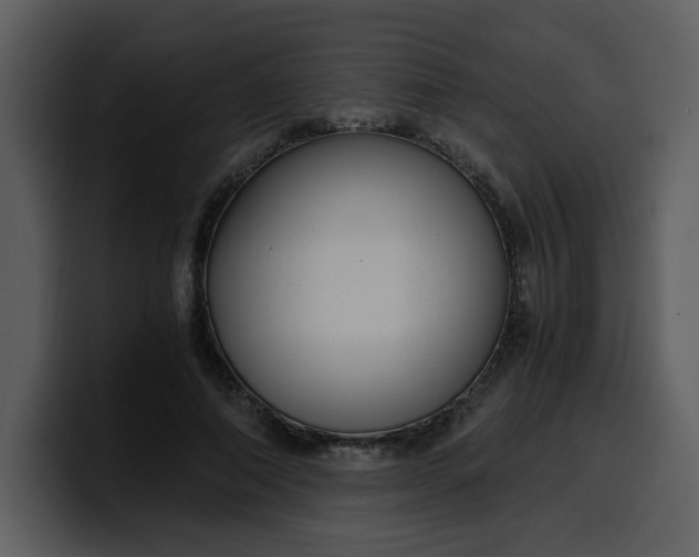 X0000100340690200806191025