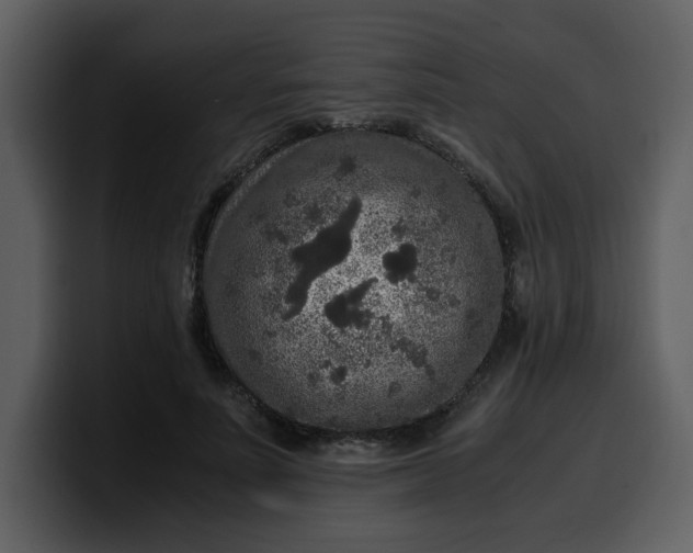 X0000100340691200806191025