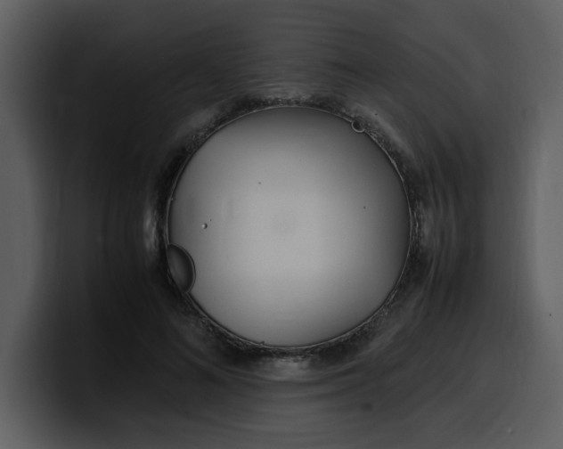 X0000100340692200806191025