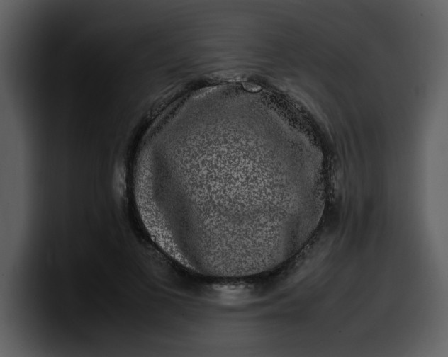 X0000100340693200806191025