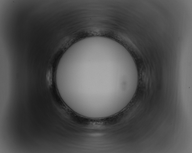 X0000100340694200806191025