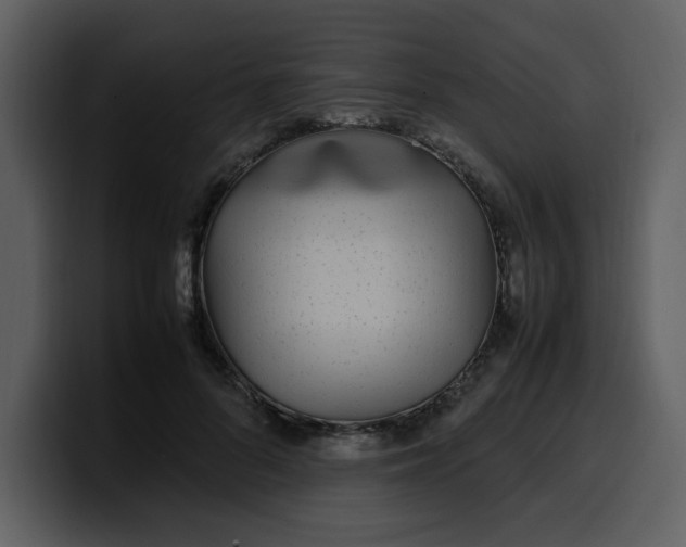 X0000100340696200806191025