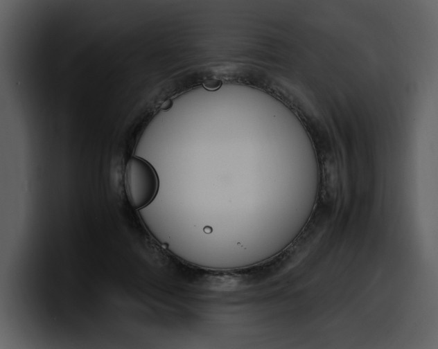 X0000100340698200806191024