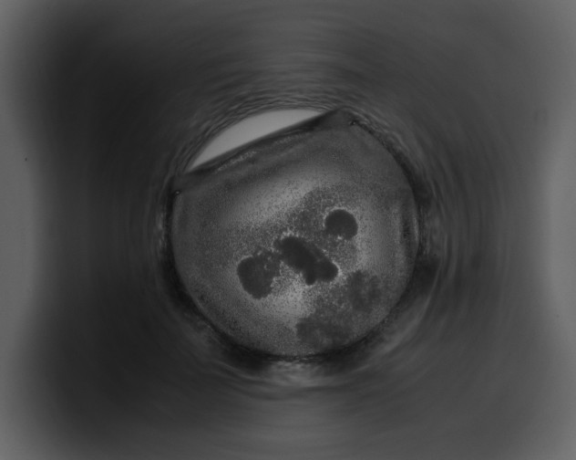 X0000100340699200806191024