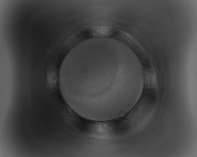 X0000100340701200806191024