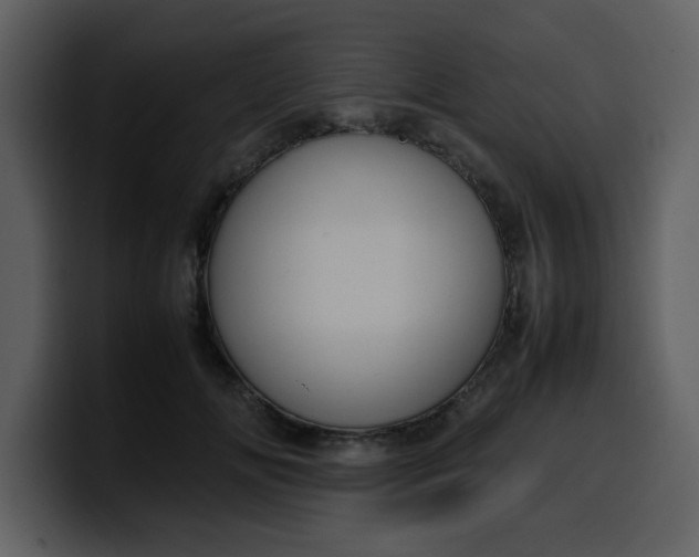 X0000100340702200806191024