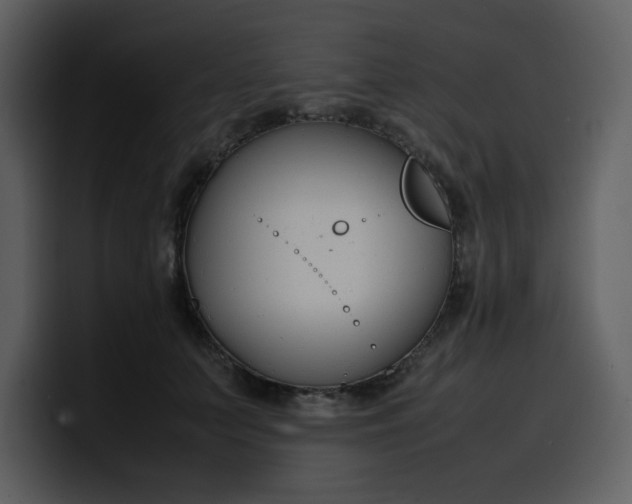 X0000100340703200806191024