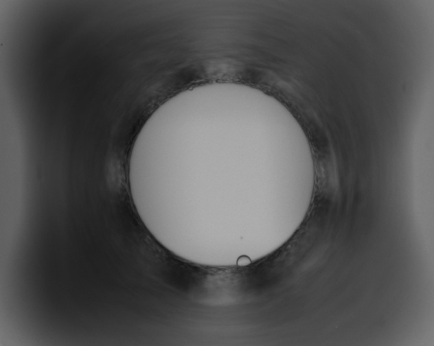 X0000100340705200806191024