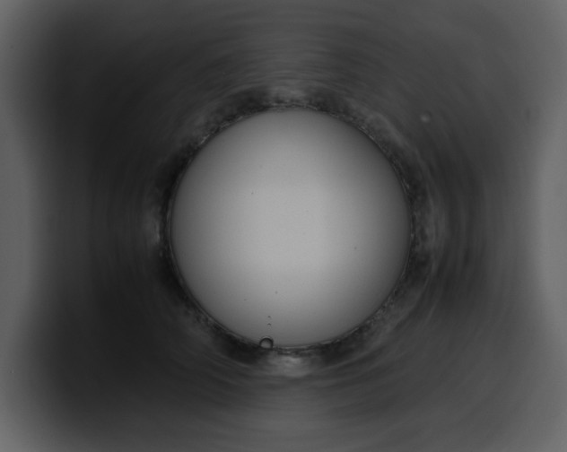 X0000100340706200806191024