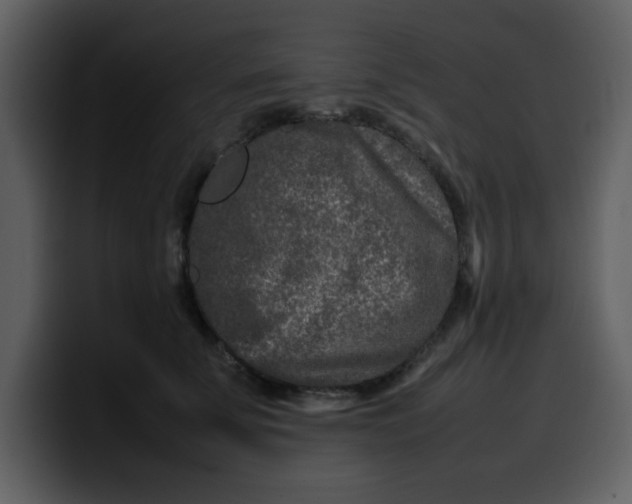 X0000100340707200806191024