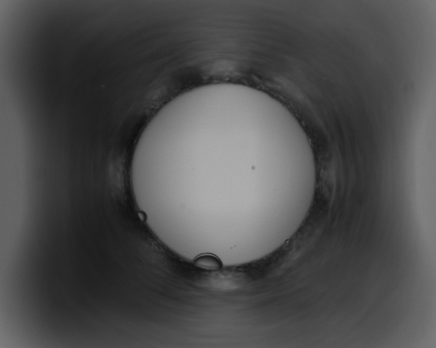 X0000100340708200806191024