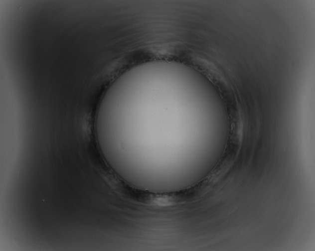 X0000100340710200806191024