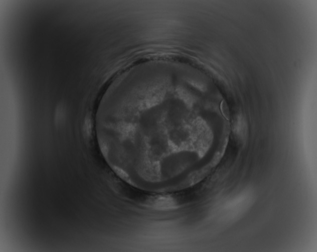 X0000100340715200806191024