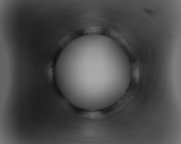 X0000100340716200806191024