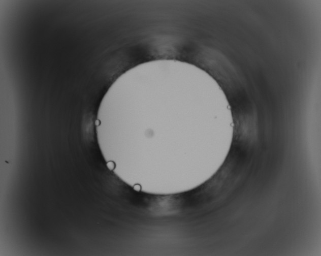 X0000100340717200806191024