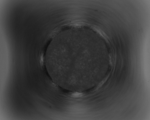 X0000100340718200806191024