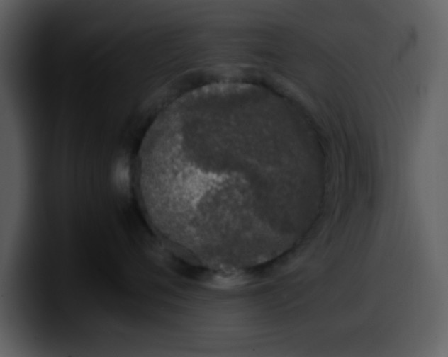 X0000100340720200806191024