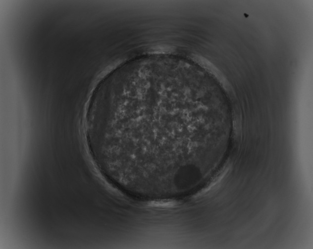 X0000100340721200806191024