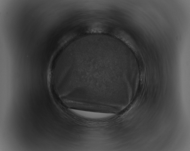 X0000100340722200806191024