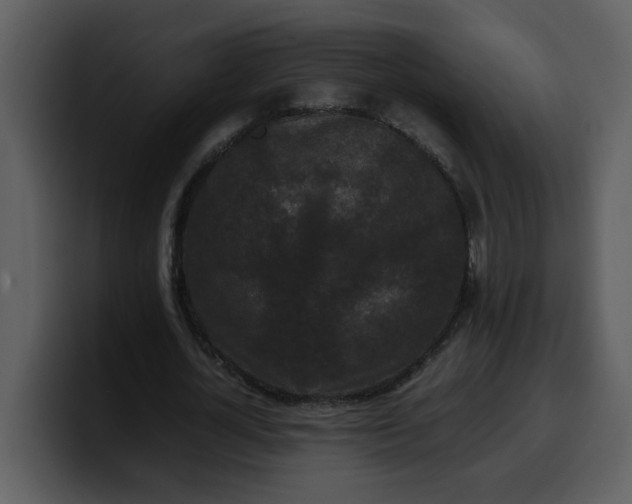 X0000100340724200806191024