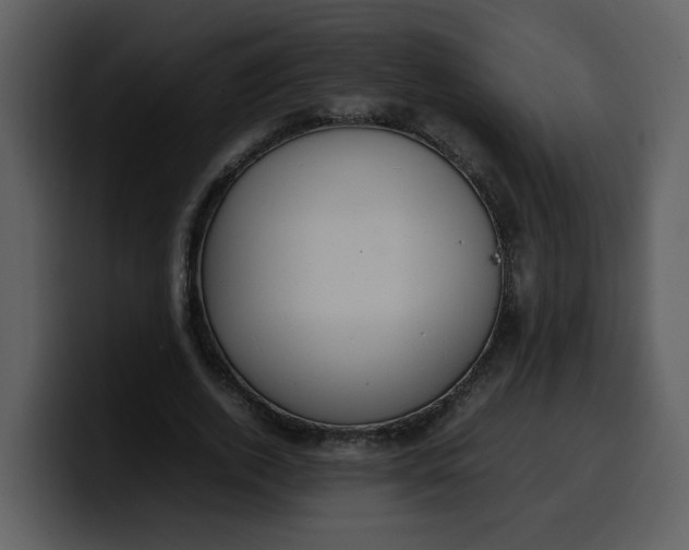 X0000100340728200806191024