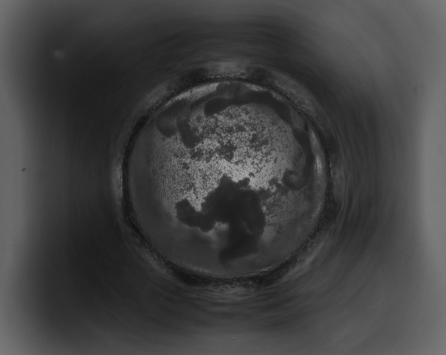 X0000100340729200806191024