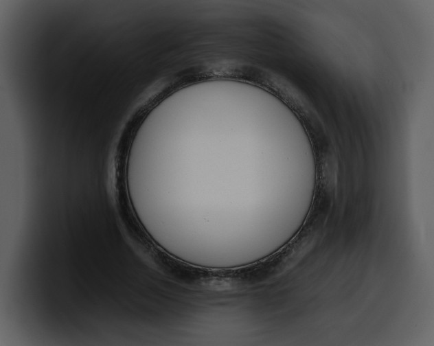 X0000100340730200806191024