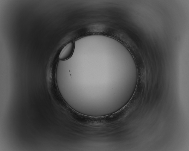 X0000100340731200806191024