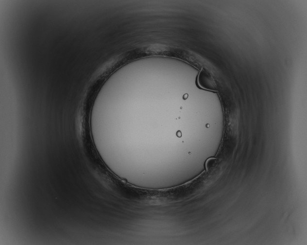 X0000100340732200806191024