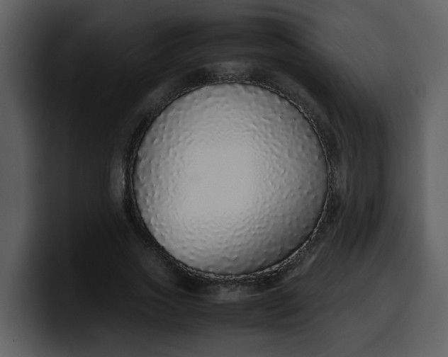 X0000100340733200806191024