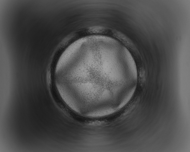 X0000100340734200806191024