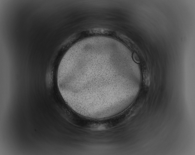 X0000100340735200806191024