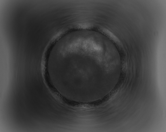 X0000100340736200806191024