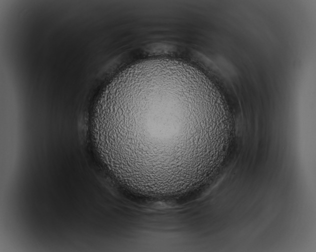 X0000100340737200806191024