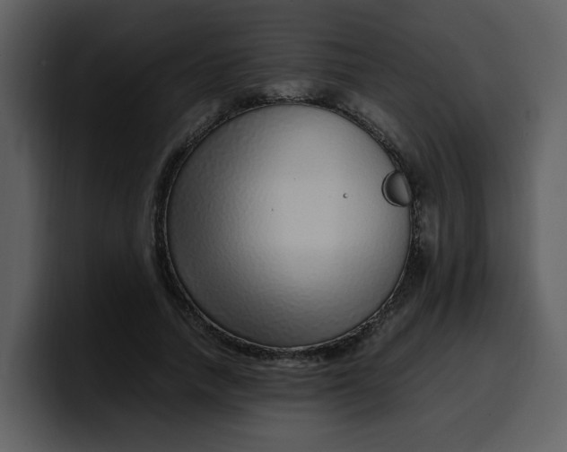 X0000100340738200806191024