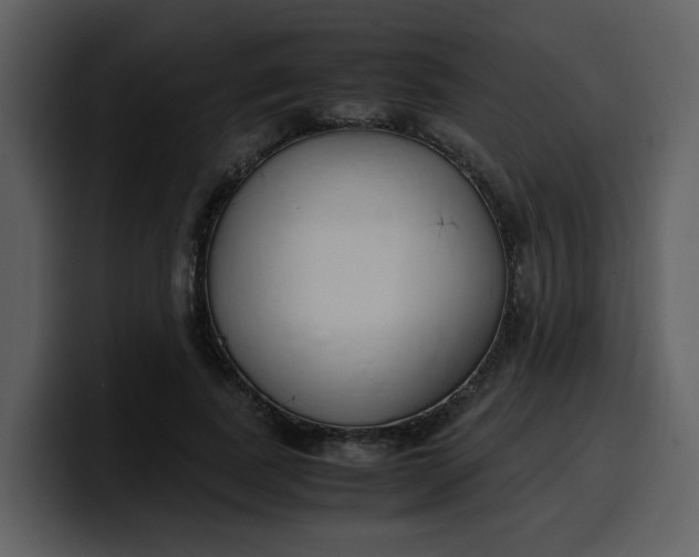 X0000100340739200806191024