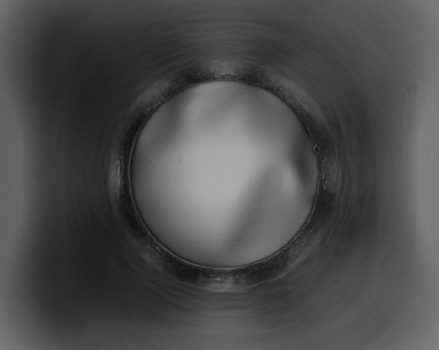 X0000100340740200806191024