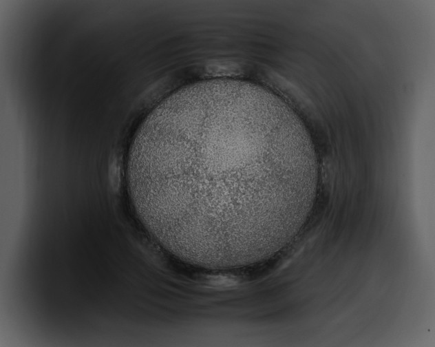 X0000100340741200806191024