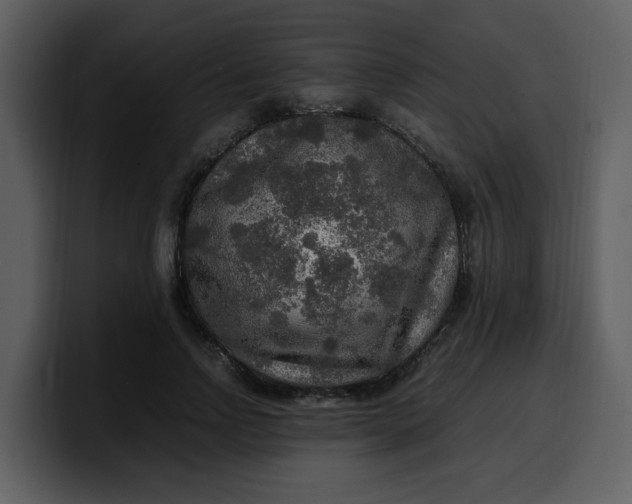 X0000100340742200806191024